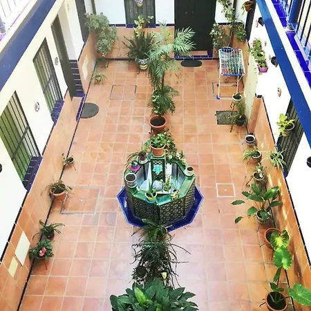 La Rana